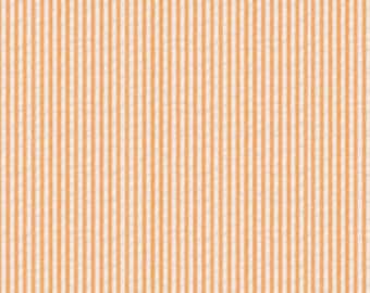 Randigt orange tyg med bäckbäcksmönster - Bredd 136 cm - Bomulls- och polyesterblandning