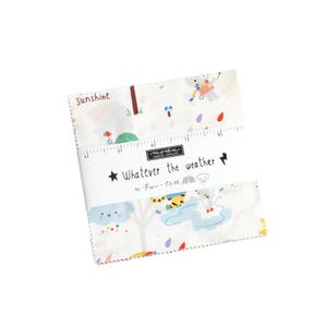Pacchetto di ciondoli Whatever The Weather di Paper and Cloth Design Studio - 42 quadrati di tessuto pretagliati, 5" x 5"