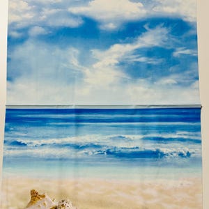 Beachcomber Shells Fabric Panel - Timeless Treasures Cotton Print (23&quot; x 43&quot;)