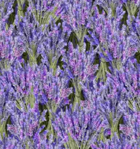 Timeless Treasures Fleur Packed Lavender Cotton Fabric Etsy