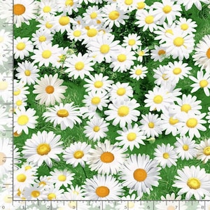 Flower Farm - Hen House - Daisies - Cotton Fabric