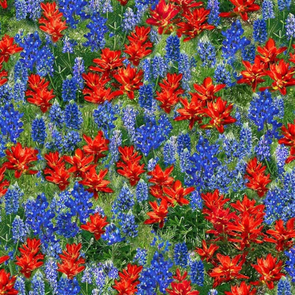 Timeless Treasures - Wild Flower - Bluebonnets and Indian Paintbrush - Digital Print - Cotton Fabric