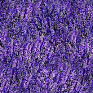 Lavender Floral Packed - Digital Print - Cotton Fabric