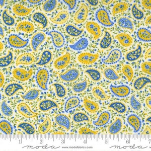 Summer Breeze - Paisley Ivory Multi - Cotton Fabric