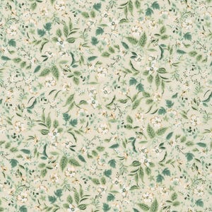 Tessuto Cotton Lawn - Sevenberry Petite Nostalgia Lawn Cream - Tessuto Cotton Lawn