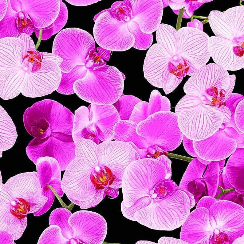 Timeless Treasures Bouquet de jardin Orchidées roses Tissu en coton image 1
