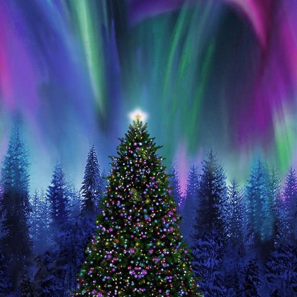 23" Panel - Timeless Treasures - Winter Solstice - Christmas Tree Aurora Borealis Panel - Sold by the Panel (23" x 43")