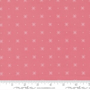 Beyond Bella New Tea Rose Fabric by Bound Co. - Cotton Fabric