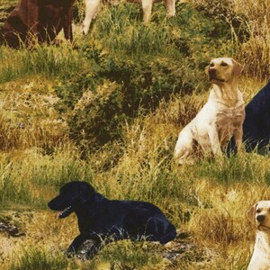 Deep in the Woods - Pups in the Woods - Cotton Fabric