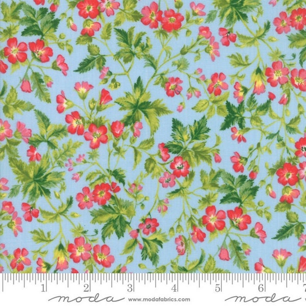 Moda Fabrics - Wildflowers IX - Dogwood Blossom Light Blue - Cotton Fabric