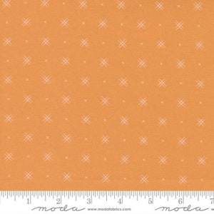 Beyond Bella Amelia Apricot Fabric by Bound Co. - Cotton Fabric