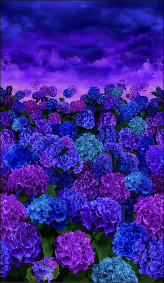 Hydrangea at Dusk Fabric Panel: Midnight Bloom Cotton Print (23