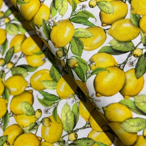 Down On The Farm - Lemons Fabric by Mary Lake Thompson - Cotton Fabric