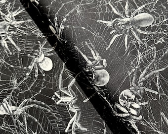 Wicked - Spiders On Webs Fabric - Digital Print - Cotton Fabric