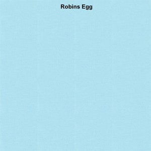 May include: A solid robin's egg blue background.