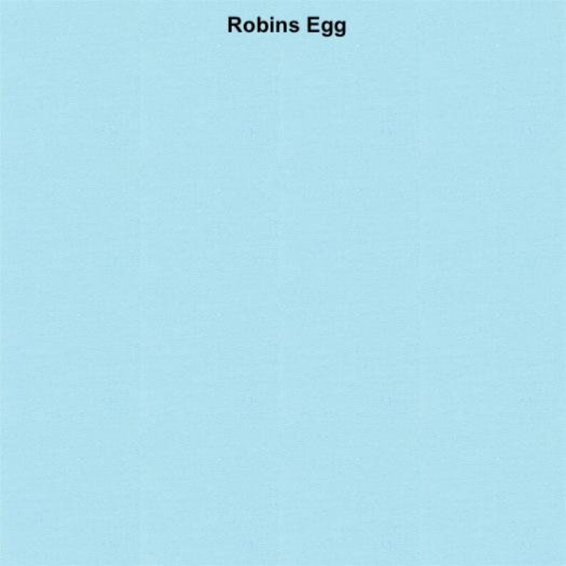 May include: A solid robin's egg blue background.