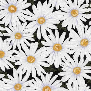 Sunny Days - Packed Daisies - Cotton Fabric
