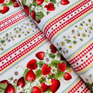 Tissu en coton à rayures fraises : imprimé baies douces par Timeless Treasures