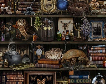Witch Apothecary Bookshelf Fabric: Halloween Cotton Print by Timeless Treasures