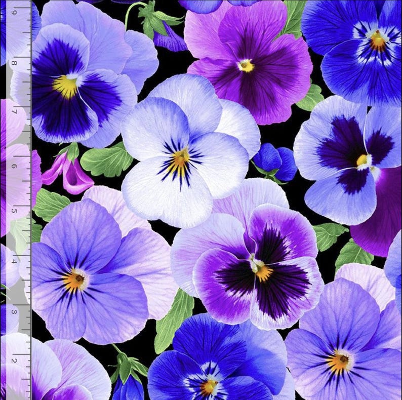 Pansy Perfection - Pansy Large Floral Fabric by Timeless Treasures - Etsy