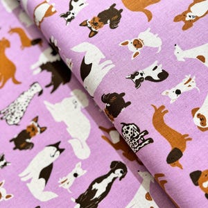 CANVAS Dog Park: Dog Medley in Macaron CANVAS Dog Park: Dog Medley in Macaron