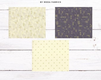 Metallic Fabric Zen Chic Modern Backgrounds in Zen Gray 1 Yard