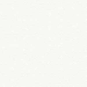 Può includere: Uno sfondo di tela bianca semplice con una texture sottile.