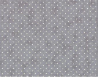 Essential Dots - Silver - Cotton Fabric