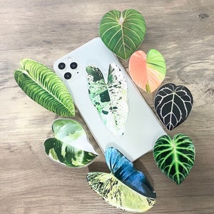 May include: A white iPhone case with various green, black, and white leaf-shaped phone grips. The phone grips are in the shape of leaves and have a variety of patterns.