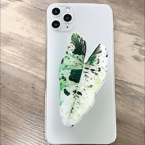 May include: A white iPhone case with a green and white leaf design.