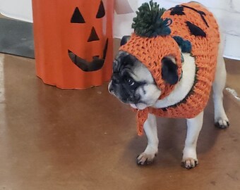 Hat & Sweater Combo or Holiday costume for a Dog/Puppy or Cat.