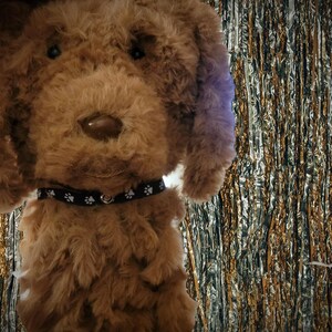 May include: A plush brown dog toy with a black collar featuring white paw prints. The dog has a fluffy, curly coat and a dark brown nose. The background is a shiny, textured silver and gold.