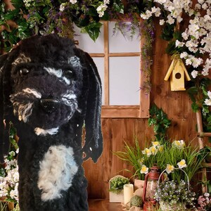 May include: A black and white plush dog toy with long, floppy ears. The dog has a white patch on its chest and a fluffy muzzle. The background features a wooden wall, a window, and floral decorations, creating a whimsical scene.