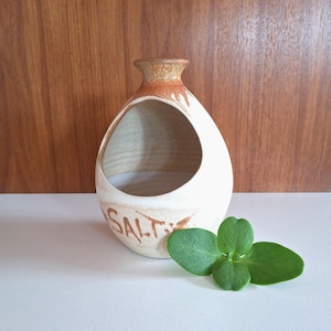 May include: A cream-coloured ceramic salt cellar with a large circular opening and a brown rim. The word "SALT" is printed on the side. A small green plant is in the foreground. The background is a wooden surface.