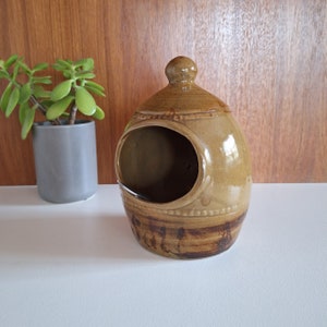 Cochon de sel en céramique beige et marron rustique vintage avec cuillère rétro gratuite / Grand pot à sel