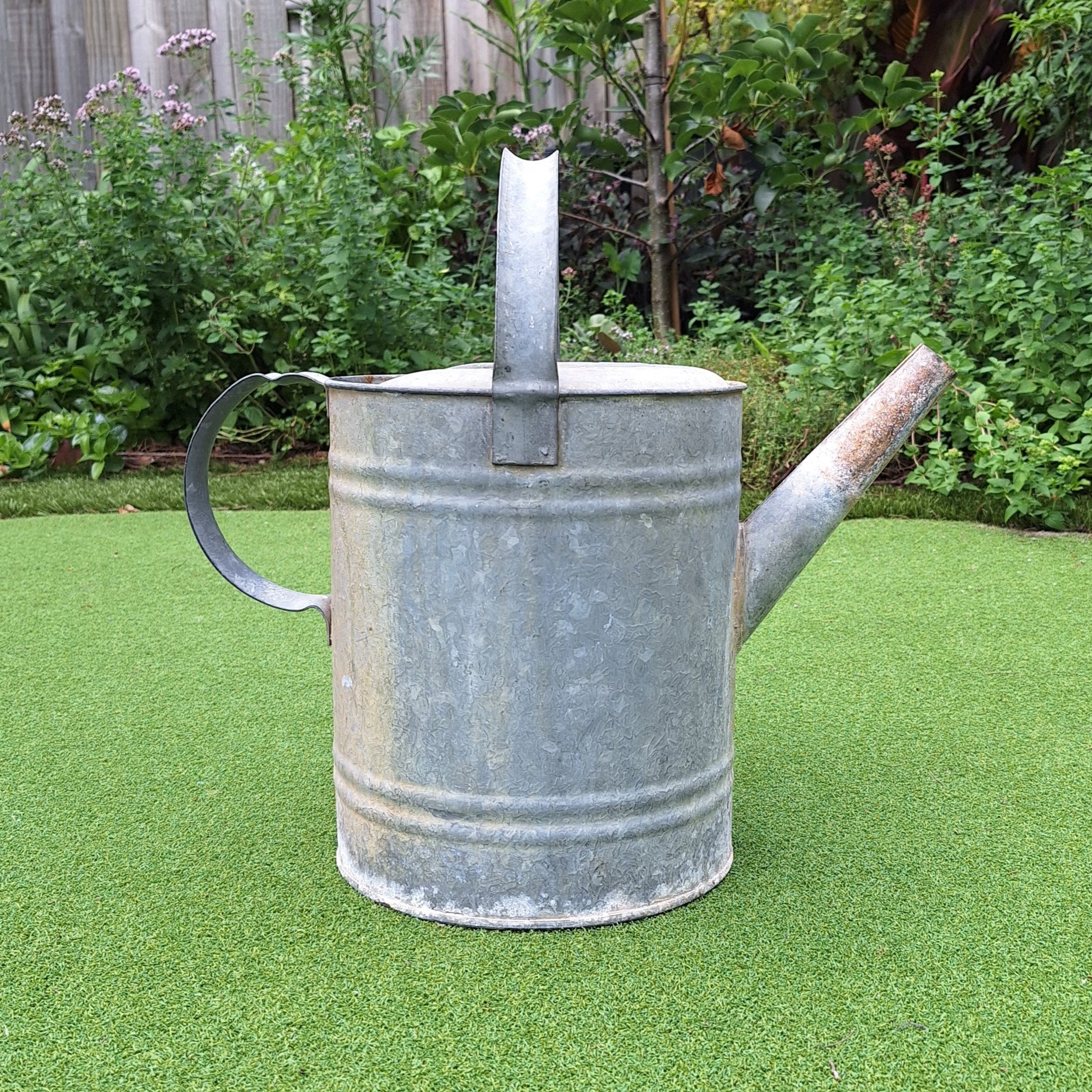 Regadera vintage de acero galvanizado de sauce: decoración rústica para  jardín - Etsy México, image size:2153x2153