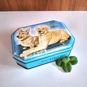 Vintage 60s MacRobertson&#39;s Dog Tin: Corgi & Labrador Kitchen Decor