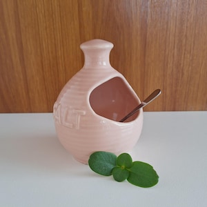 Cochon de sel en céramique rose vintage des années 80 avec cuillère rétro gratuite