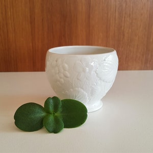 May include: White ceramic planter with an embossed floral design. The planter is sitting on a white surface with two green leaves in front of it.