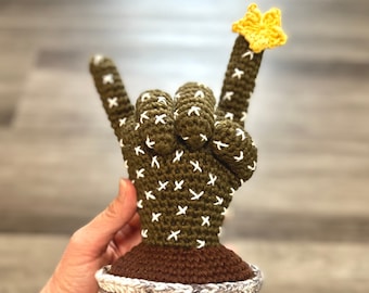 Rock in Roll Cactus