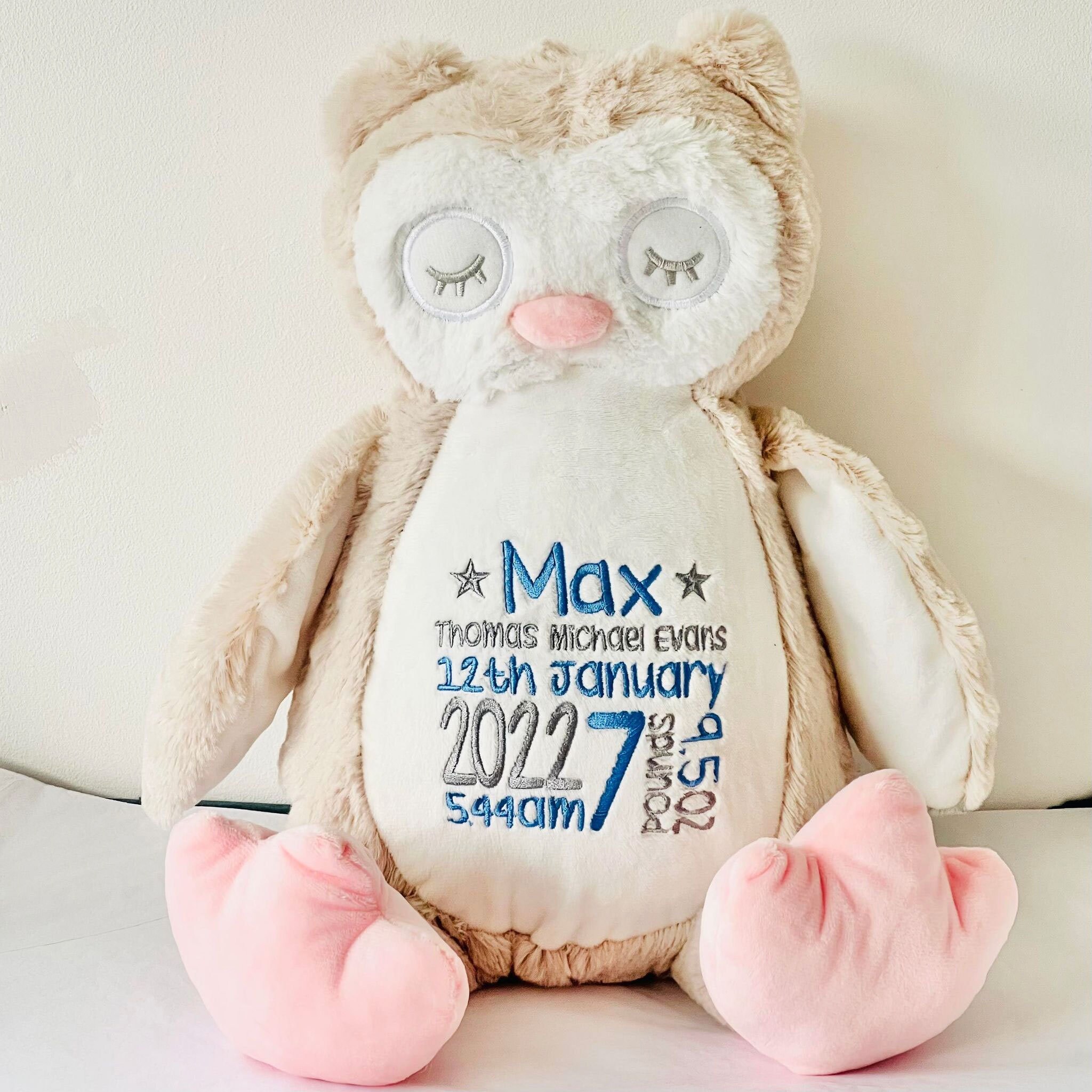 Personalised Owl Teddy Bear Embroidered Birthday Gift Boy or