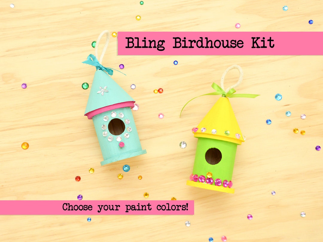Craft Kit for Kids, Girls Party Favor, Birdhouse Craft for Kids, Kids