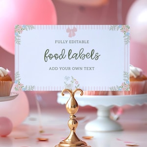 Silly Goose Food Labels Template, Goose 1st Birthday Food Labels, Goose Party Labels, One Silly Goose Birthday, Canva Template