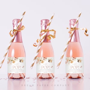 Fairy Mini Champagne Labels Template, Ready To Pop Label, Editable Champagne Label, Baby Champagne Bottle, Fairies Baby Shower Favors, A104