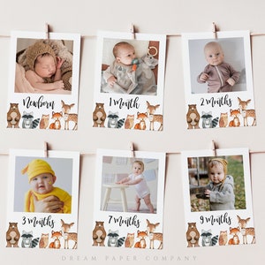 Woodland First Birthday Milestone Photos, Modèle de bannière photo mensuelle, Cartes photo Milestone, Photos de 1ère année, Forest Woodland Animals