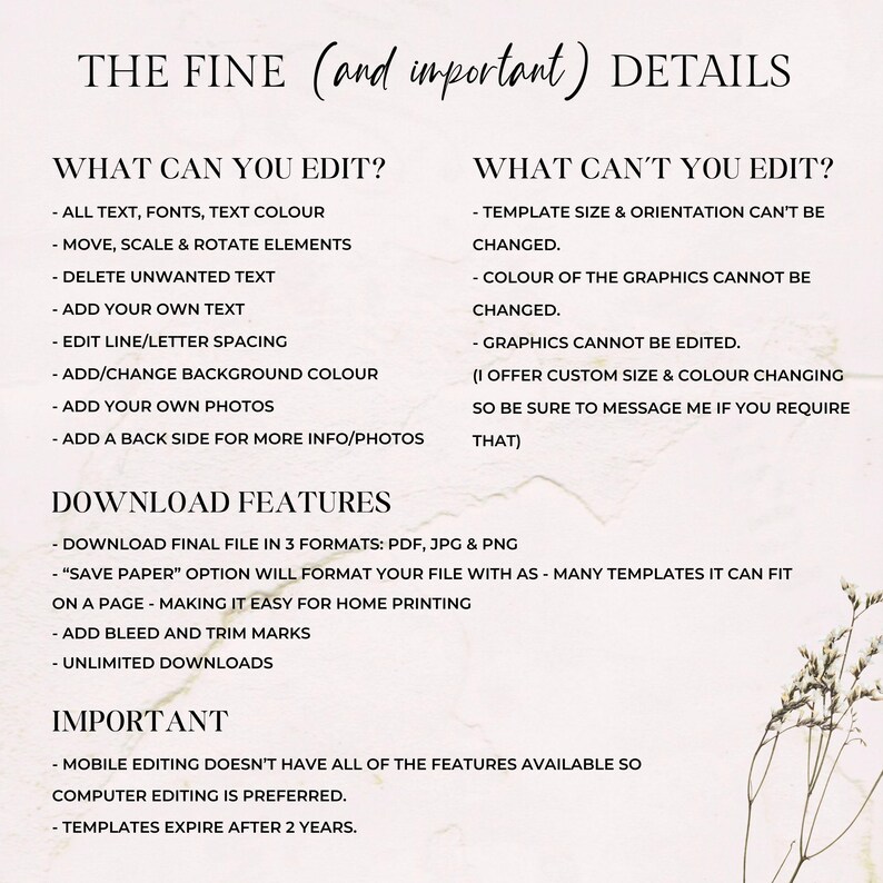 Fairy Baby Shower Invitation Template, Enchanted Baby Shower Invite, Magical Fairies Baby Shower, Editable Template, A Little Fairy, FBS1 image 5