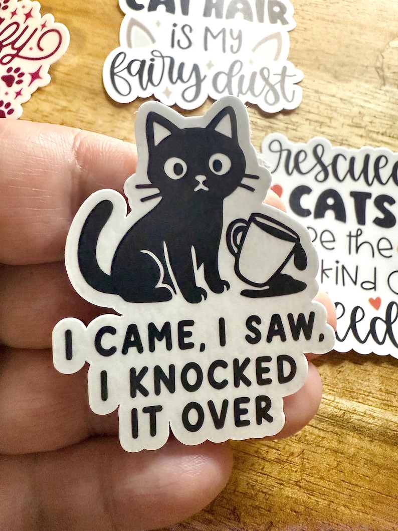 May include: A die-cut sticker featuring a black cat sitting next to a tipped-over white mug with spilled liquid. The text below the cat reads, I CAME, I SAW, I KNOCKED IT OVER, printed in bold black capital letters on a white background.