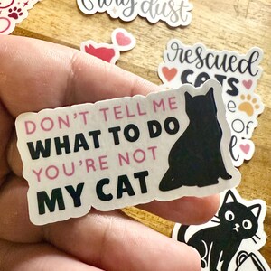 May include: A rectangular sticker with a white background featuring a black silhouette of a cat on the right side. The text reads DON'T TELL ME WHAT TO DO YOU'RE NOT MY CAT in a mix of pink and black lettering with a die-cut scalloped edge.