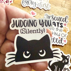 May include: A die-cut sticker featuring a black cat head with heart-shaped pupils and whiskers. The text above the cat reads JUDGING YOU (Silently) in black lettering. The sticker has a white border and a matte finish.