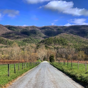 Early Spring in Cades Cove